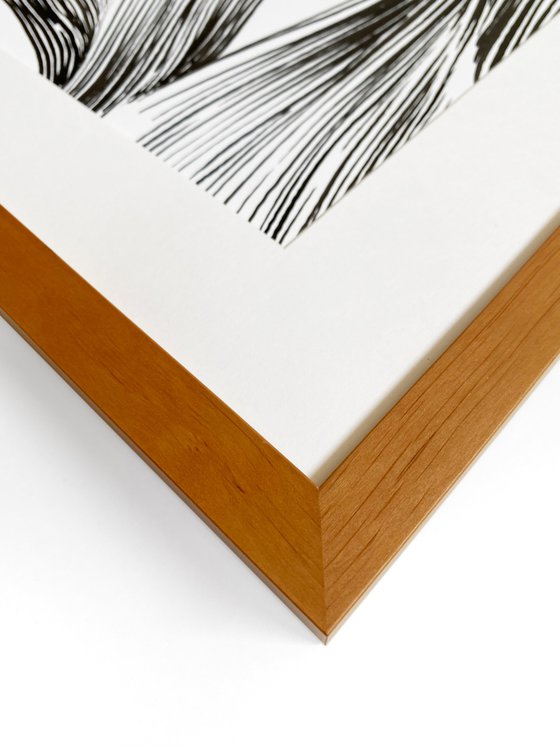 Linea: fragment no 3