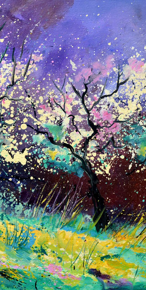 Appletrees in blossom -6523 by Pol Henry Ledent