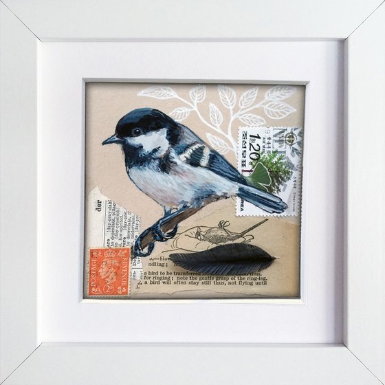 The Coal tit feather  (framed and ready to hang)