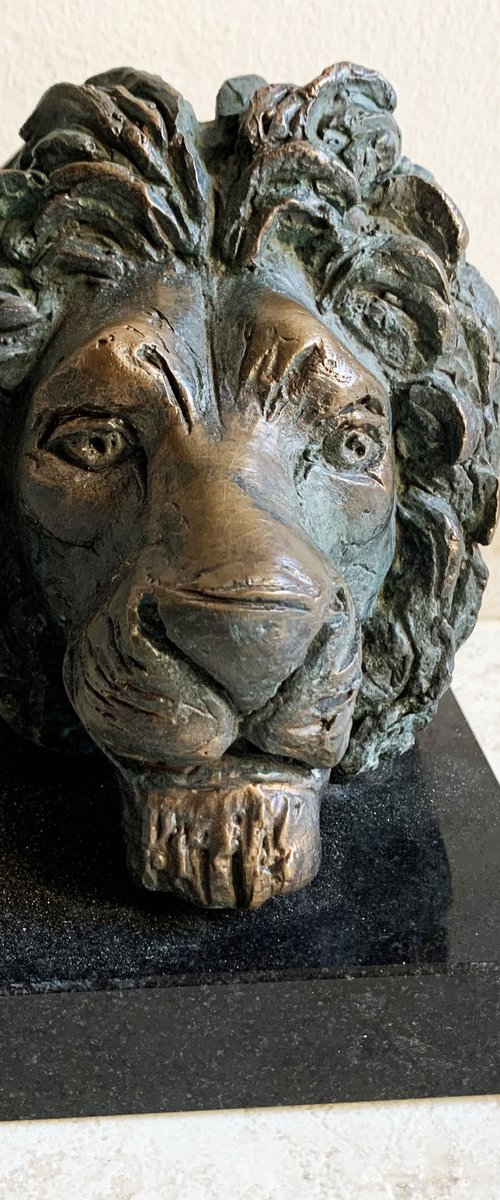 Lion's head by Toth Kristof