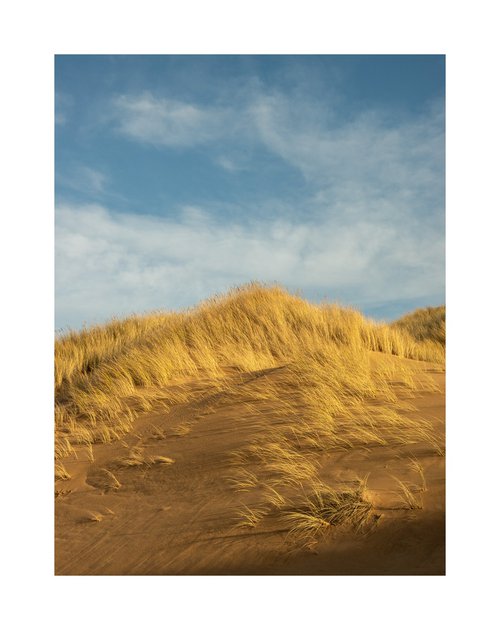 Late Dunes II by David Baker
