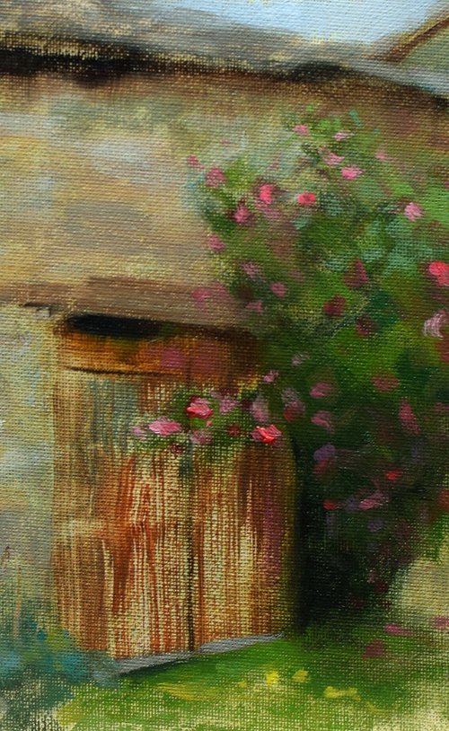 Flowering camellia bush by Gav Banns