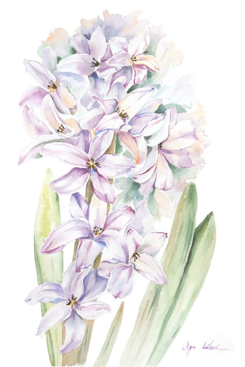 White Hyacinth by Olga Koelsch