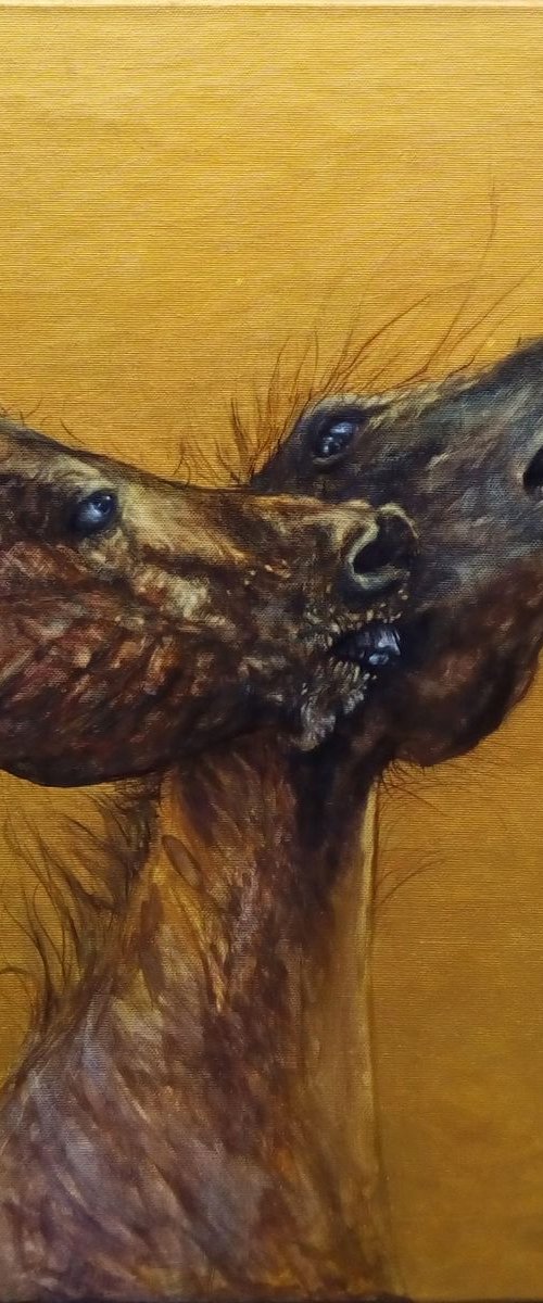 Painting from the series called HUMALS - horsefighting - varnished by Monika Wawrzyniak