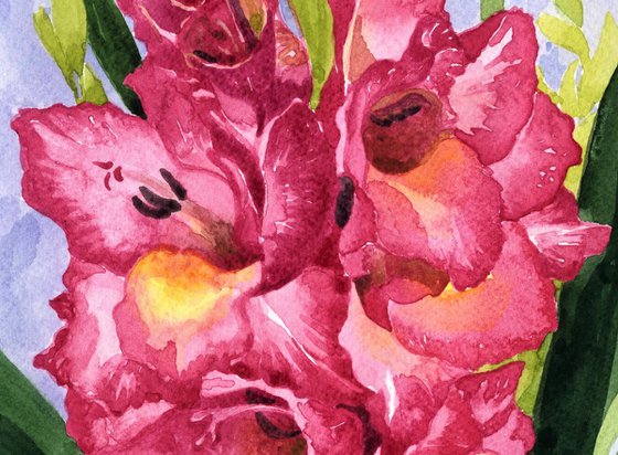 GLADIOLAS II