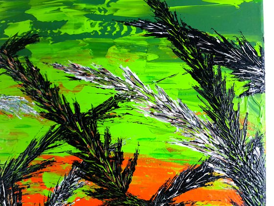 Grass In Green Color