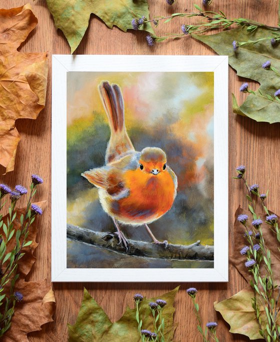 Little robin bird on a branch