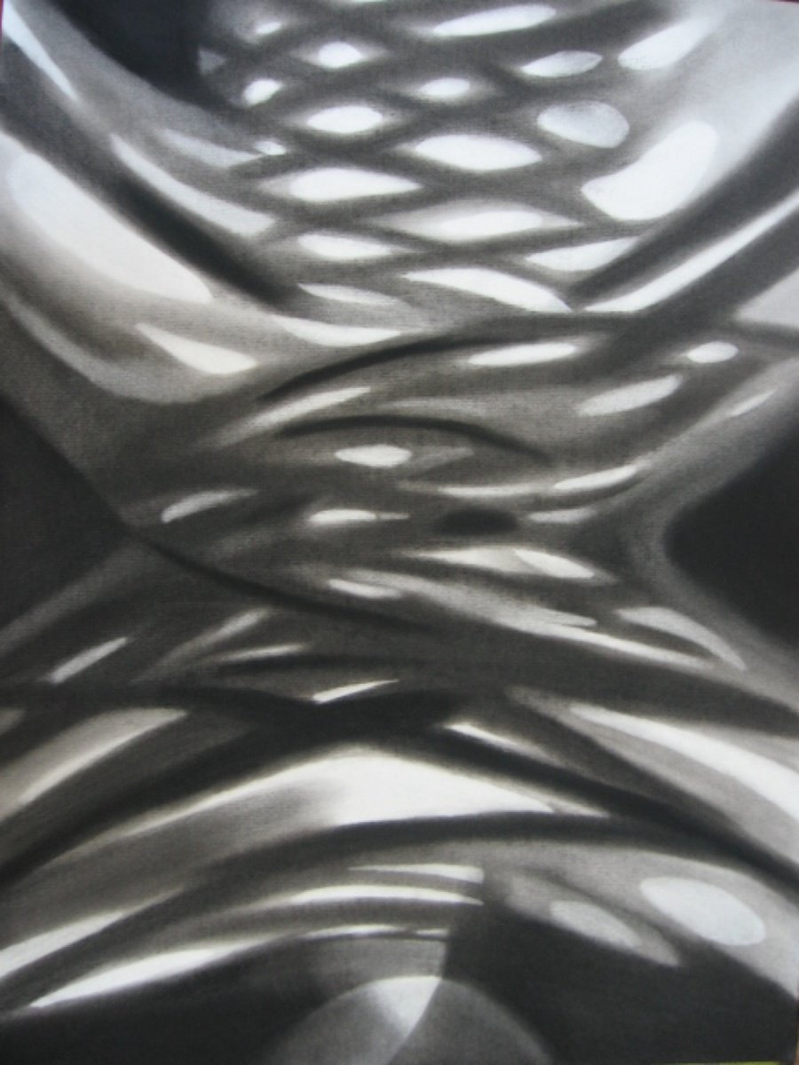 Expressive Abstract Charcoal Drawing By Anyck Alvarez Kerloch, 18 X 24, Celosia, Original Artwork