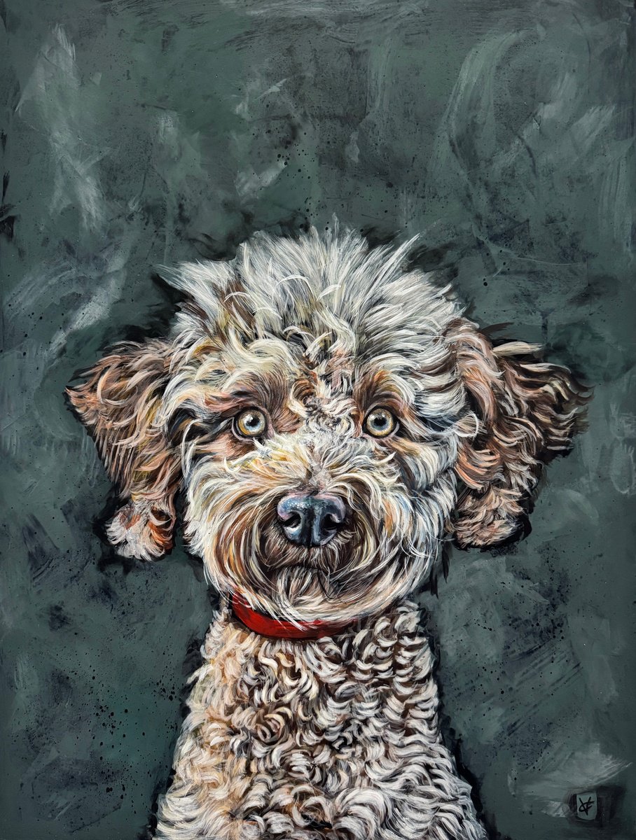 Expressive Animal Acrylic Painting By Victoria Coleman, 18 X 24", Chester The Cockerpoo, Original Artwork