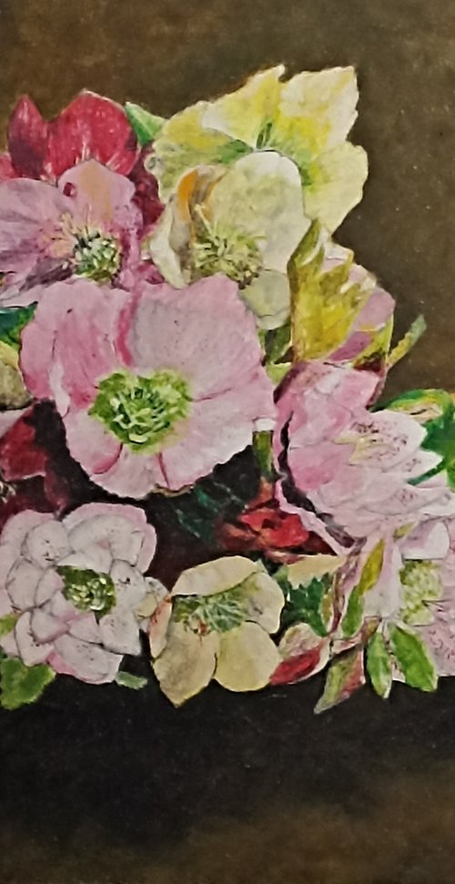 Christmas roses by Isabelle Lucas