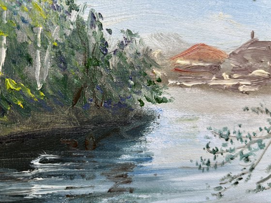 Birch trees on the lake
