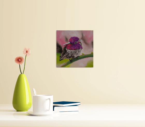 Purple Glow Hummingbird