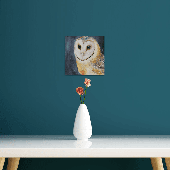 Barn Owl Oda