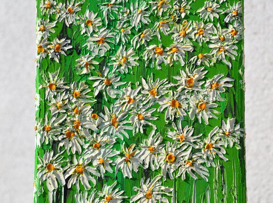 Daisies In The Grass