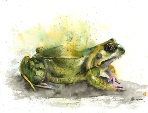 Frog - Original Watercolor Painting by Olga Shefranov (Tchefranov)