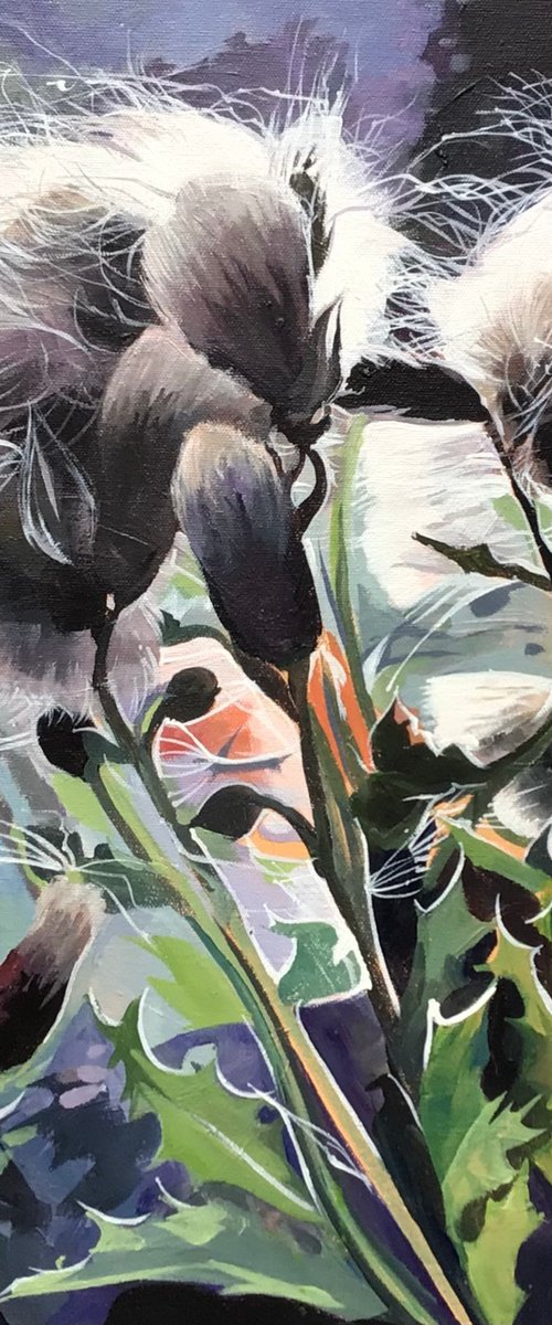 Seed Heads In The Sunlight by Joseph Lynch