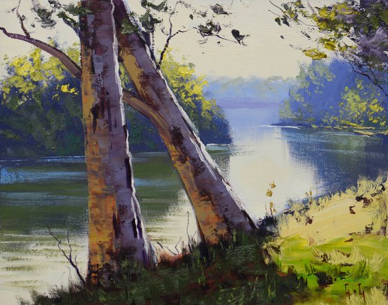 Australian Tumut River