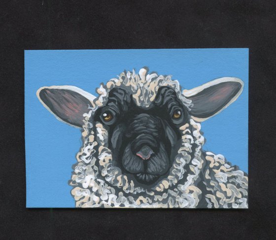 ACEO ATC Original Painting Black Face Sheep Farmyard Art-Carla Smale