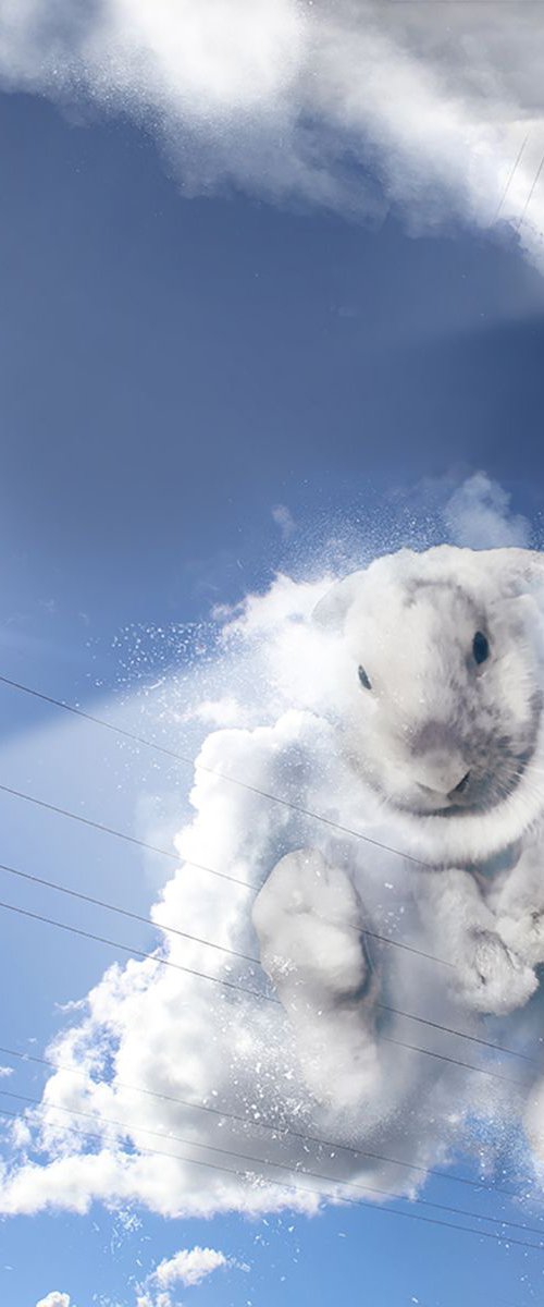 Bunny Cloud by Vanessa Stefanova