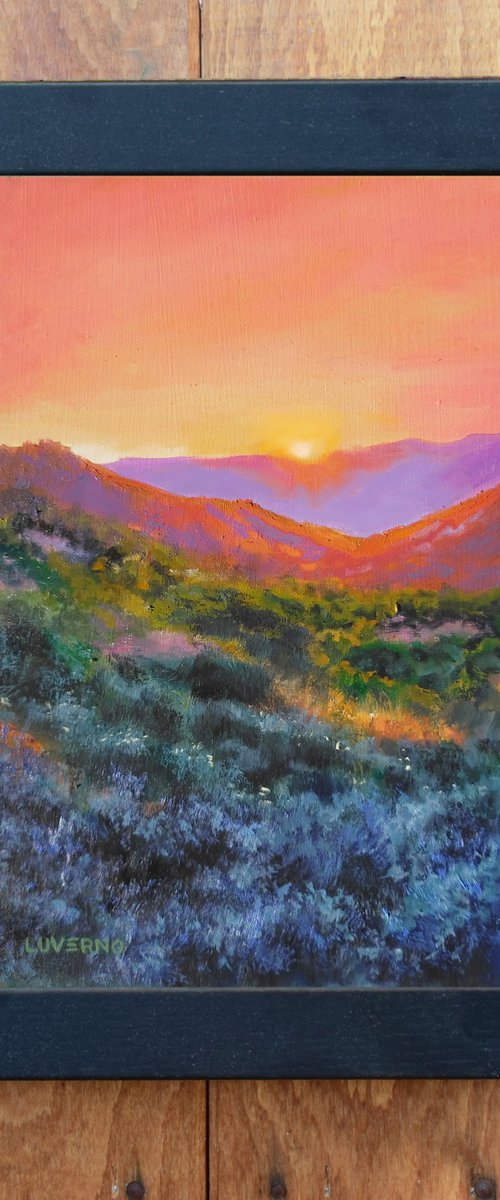 The colors of the desert by Lucia Verdejo