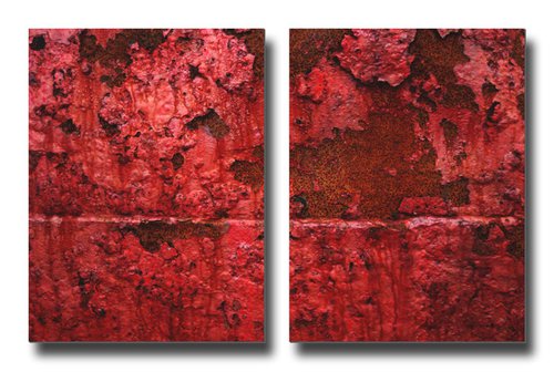 Viscera - Diptych- Two 16x12in Aluminium Panels by Justice Hyde