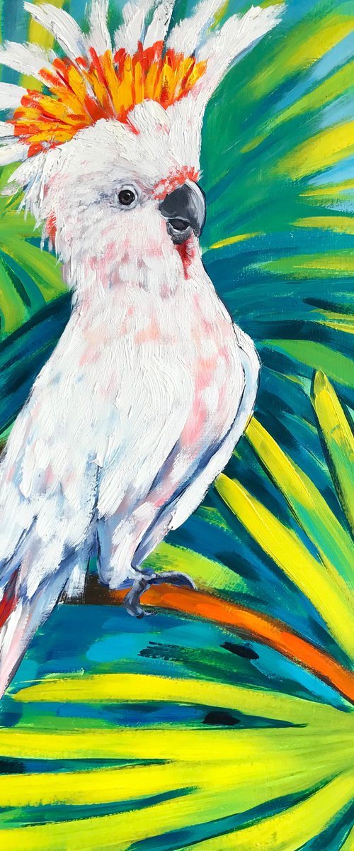 Major Mitchell's cockatoo by Irina Redine