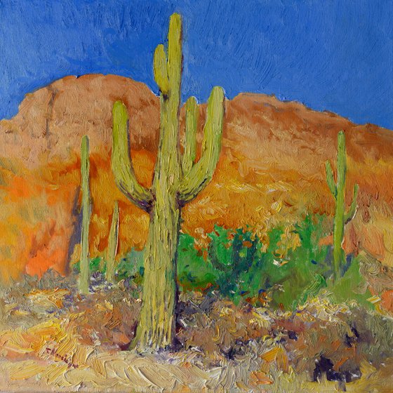 Saguaro Cactuses