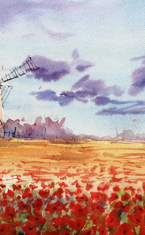 poppies field 4 by Giorgio Gosti