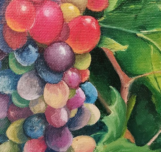 Sunny grapes. Sicily