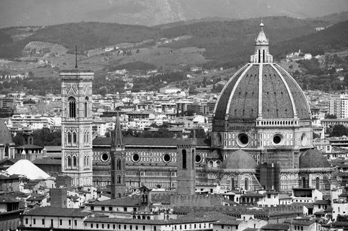 NT#88 Florence panorama and nature I by Mattia Paoli