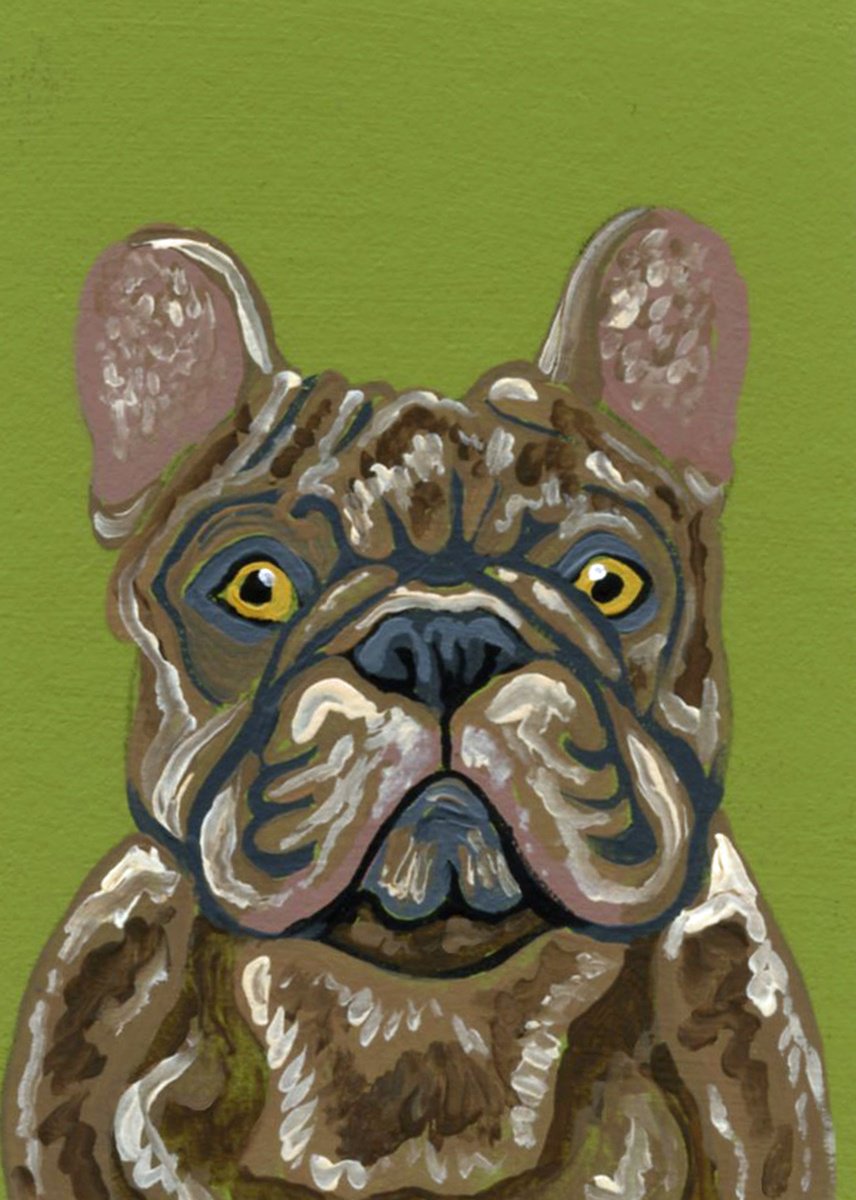 Cream Merle French Bulldog by Carla Smale