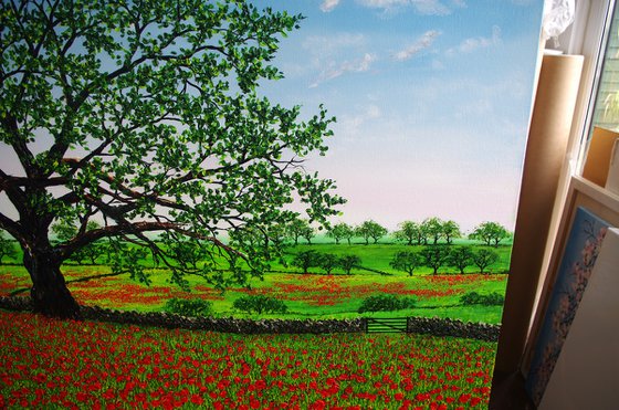 A feild of Poppies
