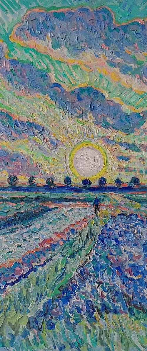 Sunset over fields by Nigel Dickerson