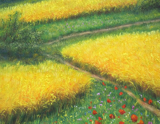 Yellow field