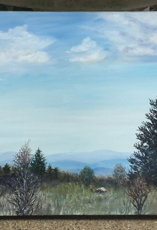 VIEW FROM GRAYSON HIGHLANDS by Kathleen McDermott