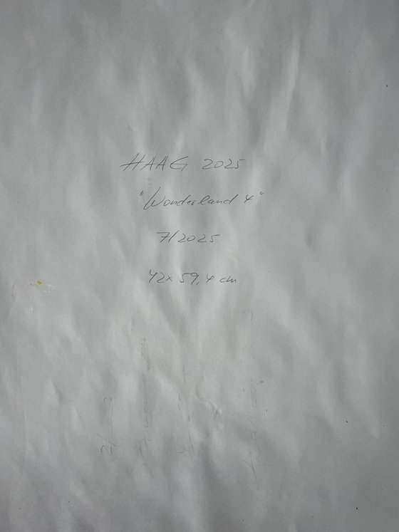 Wonderland 4