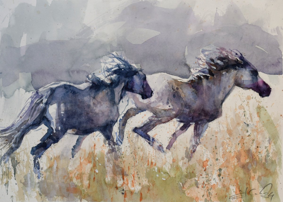 Expressive Animal Watercolour By Goran Zigolic Watercolors, 17 X 12, Wild Horses Chasing, Original Artwork
