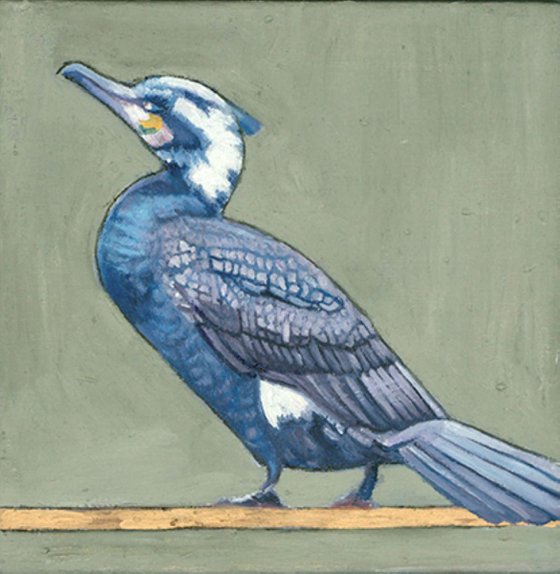 Cormorant 2