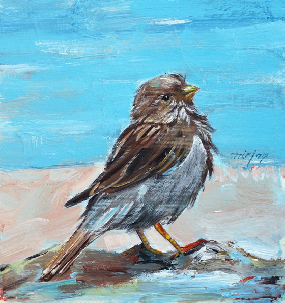 " SPECIAL PRICE,AFTER THE BATH ... " ORIGINAL PAINTING PALETTE KNIFE, GIFT,BIRD, OIL ON CANVAS