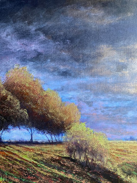Southfield Copse