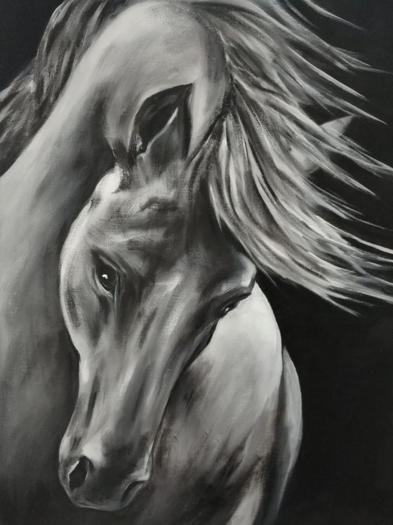 Horse - black and white oil painting