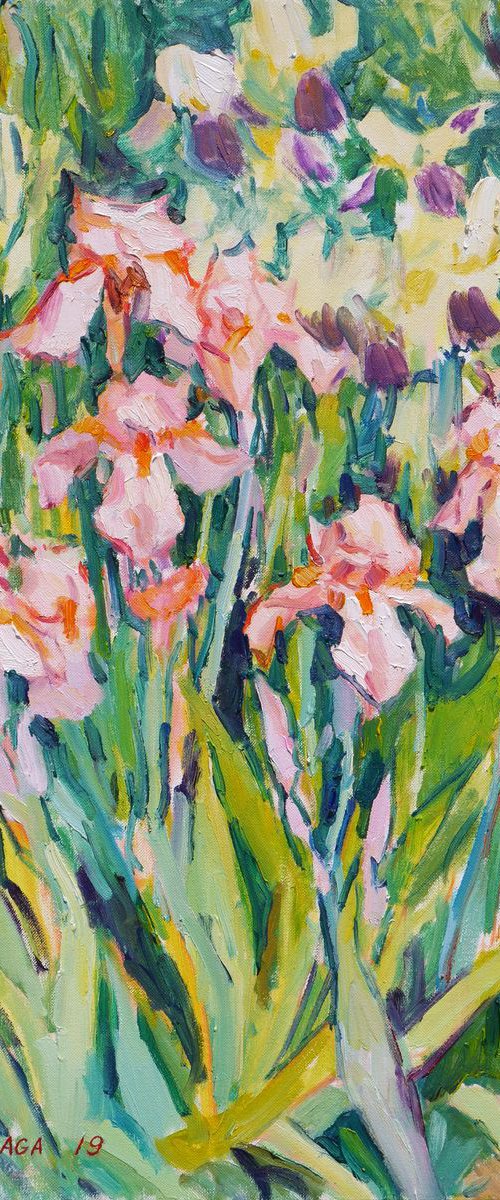 Irises blooming (plein air) original painting by Dima Braga