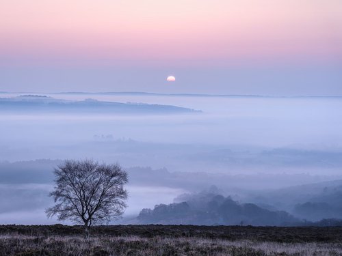 Soft sunrise - Dartmoor by Baxter Bradford