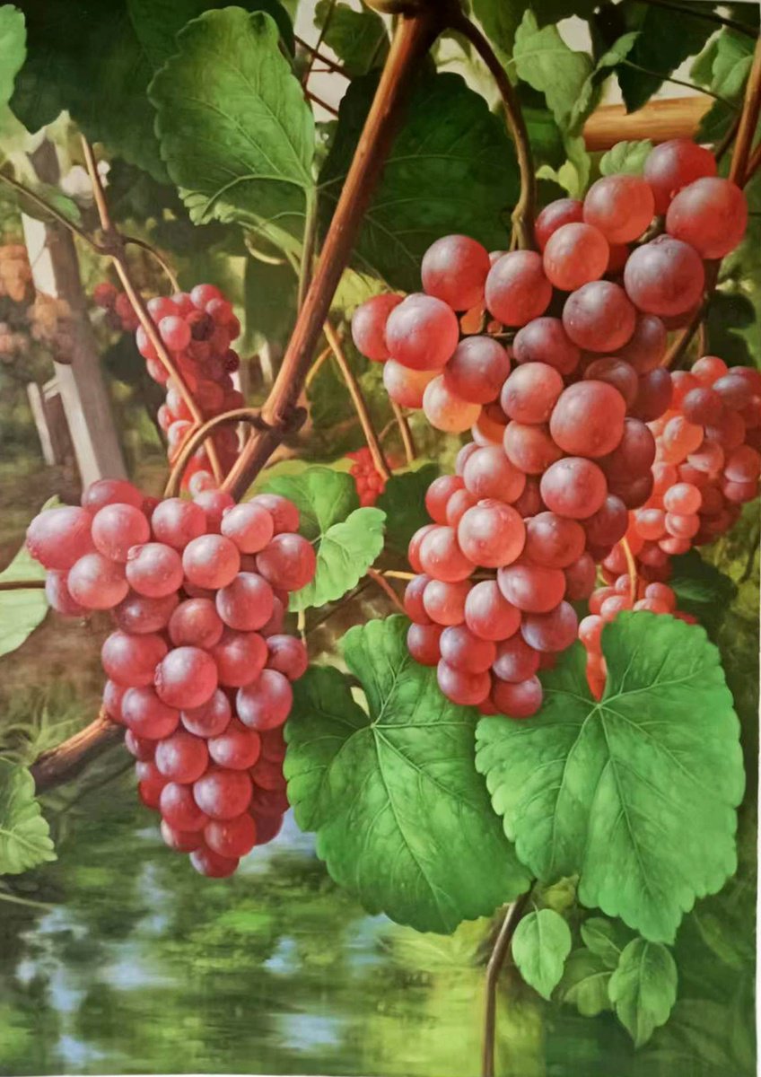 Photorealistic Still Life Oil Painting By Kunlong Wang, 24 X 35", Grapes With Leaves T208, Original Artwork