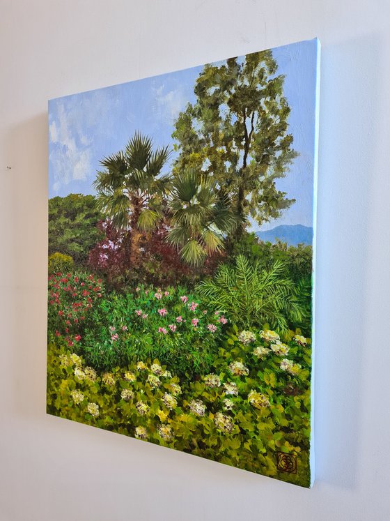 Morning Mediterranean Garden