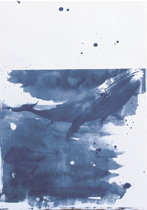 Cyanotype_22_A2_42X60 cm_Whale by Manel Villalonga