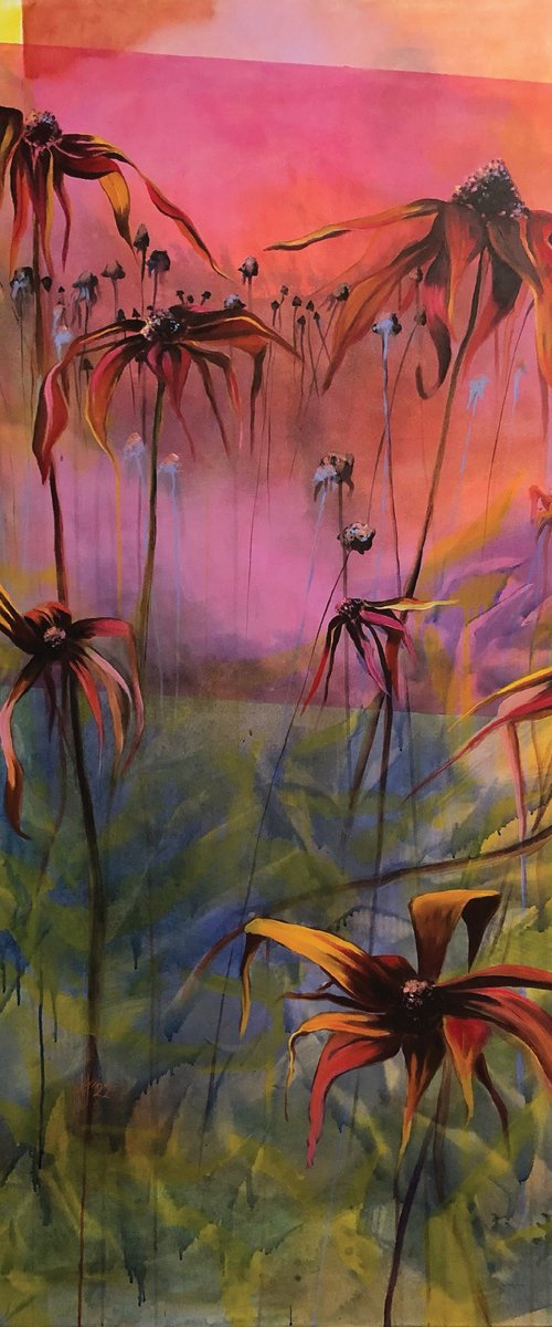 Late bloomer by Hilde Hoekstra
