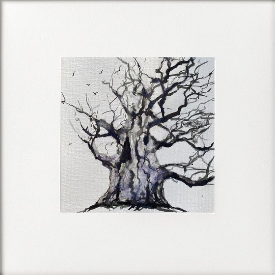 Monochrome - Winter Oak tree