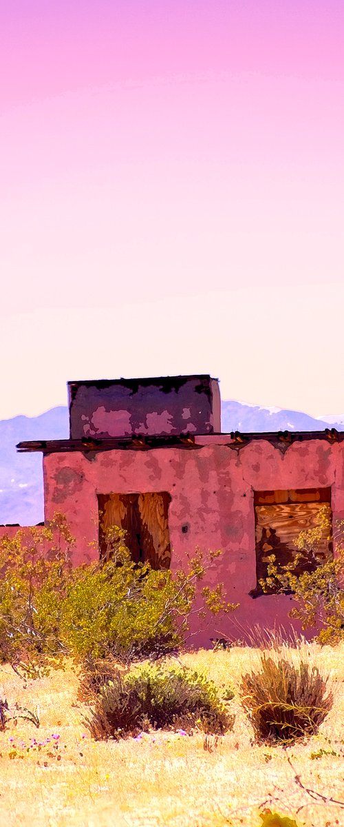 HOMESTEAD HEARTACHE Desert Hot Springs CA by William Dey