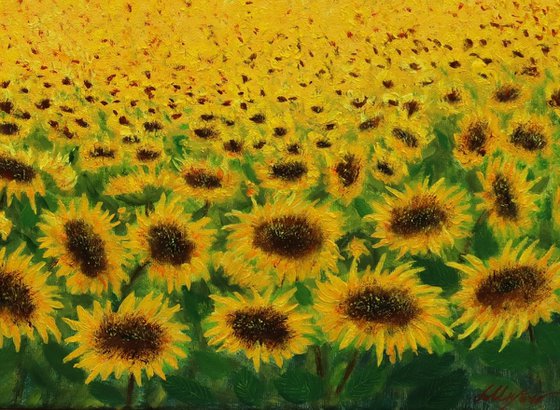 Sunflowers